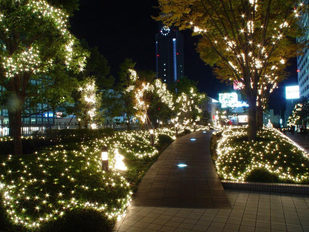 Современное парковое освещение с использованием энергоэффективных светодиодных светильников в парковой зоне