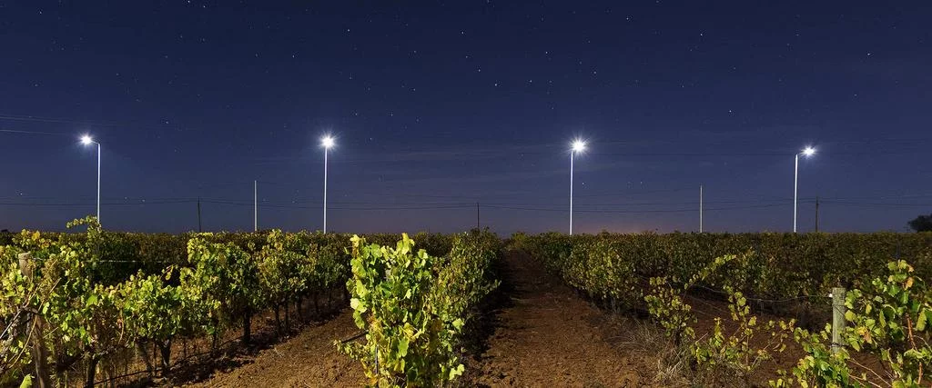 LED технологии для экологичного освещения Современные светодиодные уличные фонари с направленным освещением - технология снижения светового загрязнения