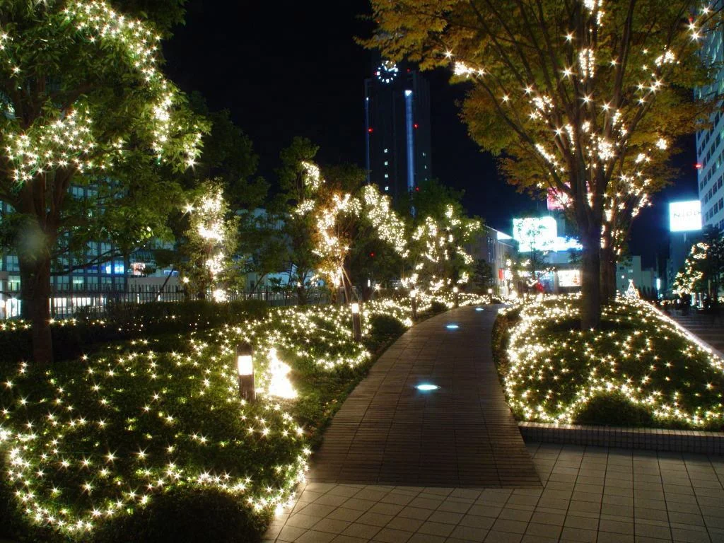 Парковое освещение Современное парковое освещение с использованием энергоэффективных светодиодных светильников в парковой зоне