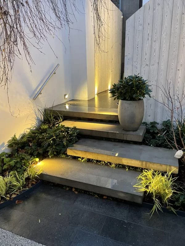 Профессиональное обслуживание и ремонт светодиодных гирлянд в парковой зоне