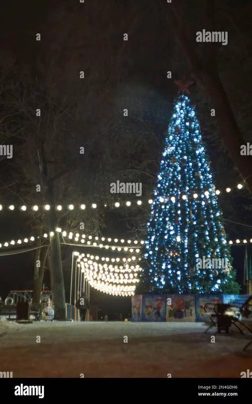 Освещение городской ёлки в Липецке, Россия, 2023 с многоуровневыми LED-гирляндами