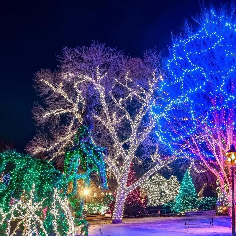 Гирлянда Спайдер 500 LED с тёплым белым светом и мерцанием - демонстрация эффектного новогоднего оформления