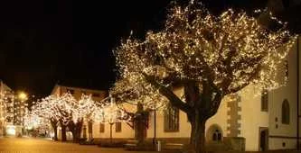 Как красиво украсить и осветить деревья?