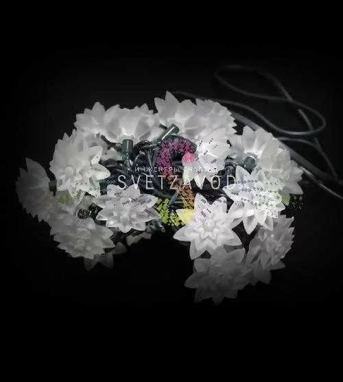 Светодиодная гирлянда Хризантемы, 3м, 30led, 220В, зеленый ПВХ, белая