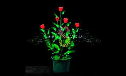 Кусты и цветы