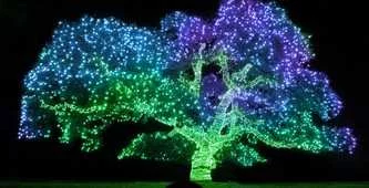 Как выбрать и где купить гирлянду Клип Лайт?