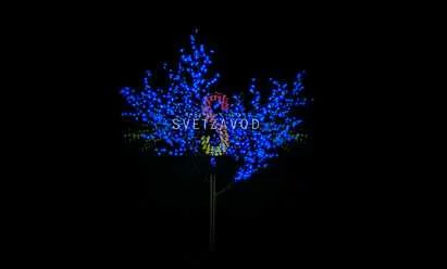 Деревья Сакура