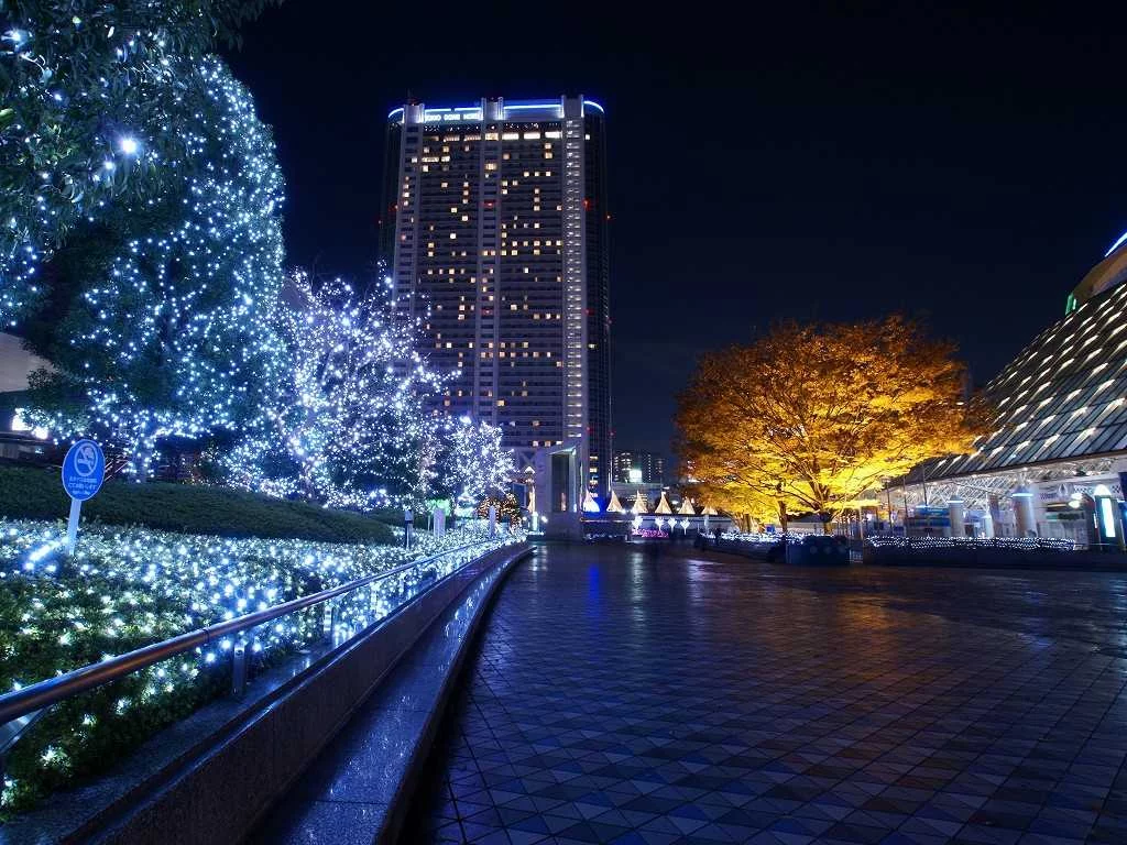 Пример украшения деревьев гирляндами