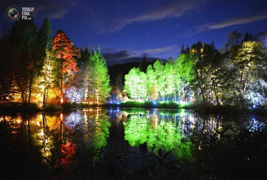 Подсветка деревьев прожекторами