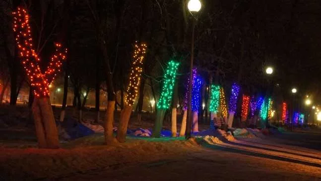 Процесс обмотки веток гирляндой