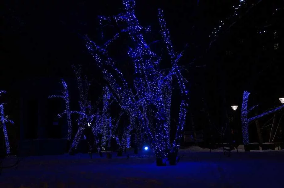 Пример украшения деревьев гирляндой Клип Лайт