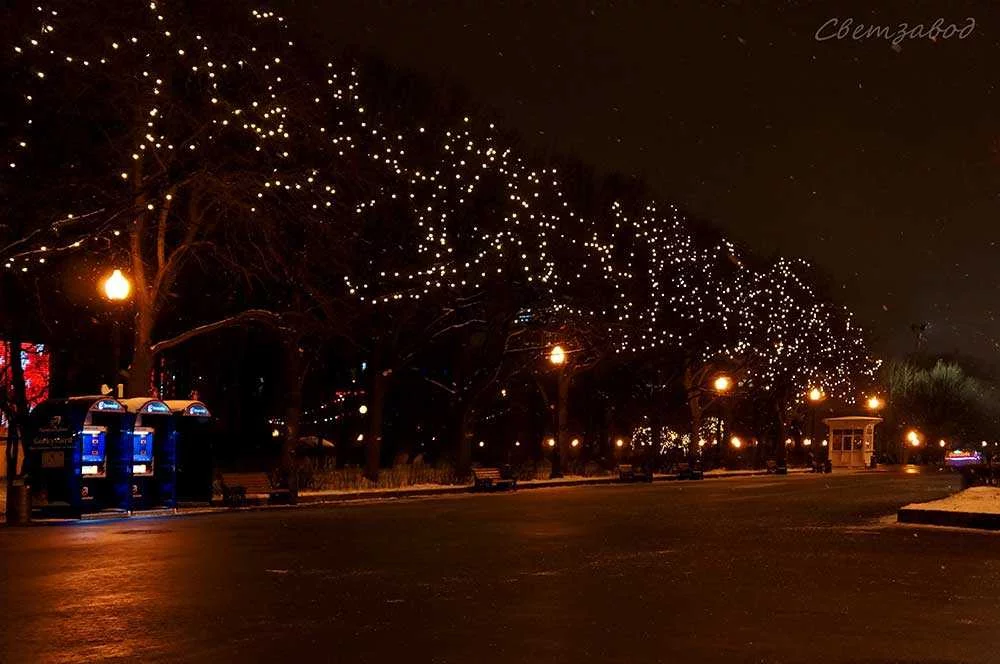 Украшение гирляндой с лампами деревьев на улице Украшение деревьев гирляндой Белт Лайт