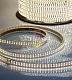 Светодиодная лента Тейп Лайт 240SMD3014, 220В, 15х6,5мм, теплая белая, IP67, 100м, Neon-Night