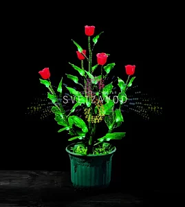 Куст розы в горшке, 0,6м