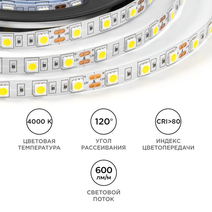 Детальное фото светодиодной ленты с нейтральным белым свечением 4000К, SMD5050 60 диодов/м, IP20, ширина 10мм, 5 метров