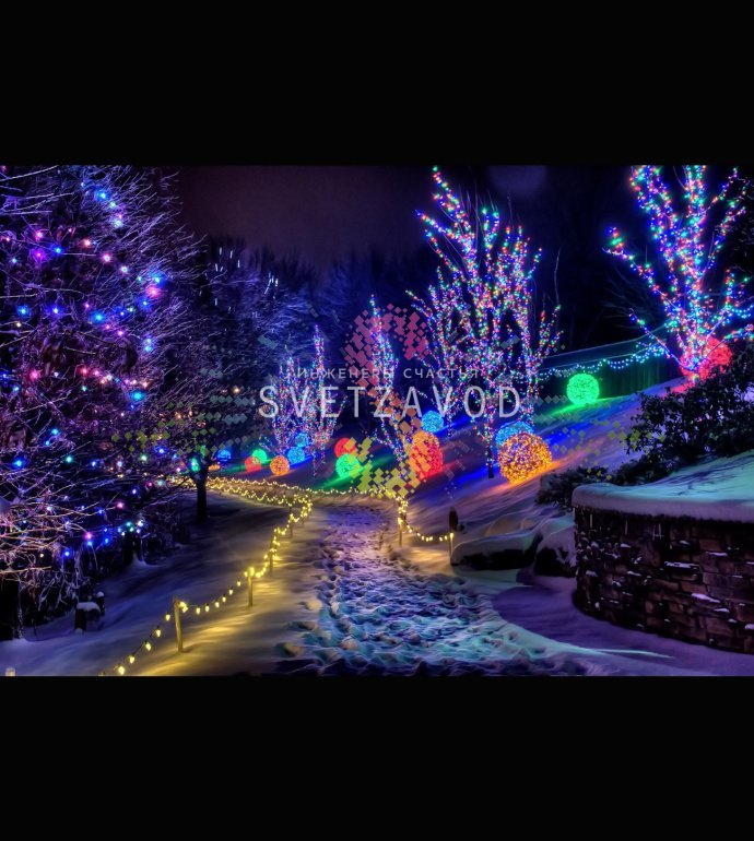 Детальное фото гирлянды Клип Лайт Спайдер Rich Led: три зеленые нити по 20 метров со светодиодами, блок питания и контроллер с 8 программами.