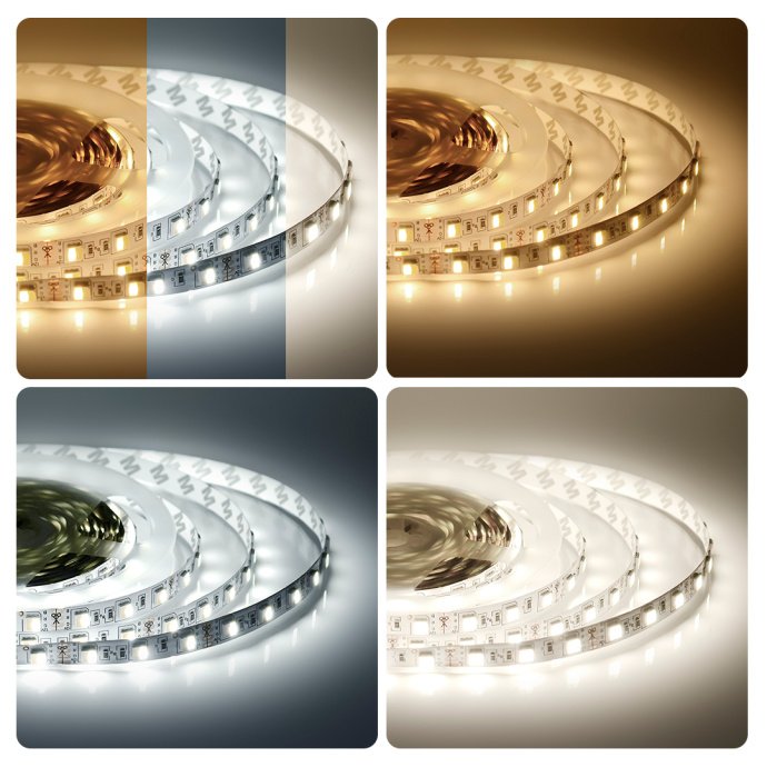 Детальное фото LED ленты 12В CCT двухцветной, SMD5050 60LED/м, ширина 10мм, IP20, отрезок 5м, видна кратность реза 50мм.