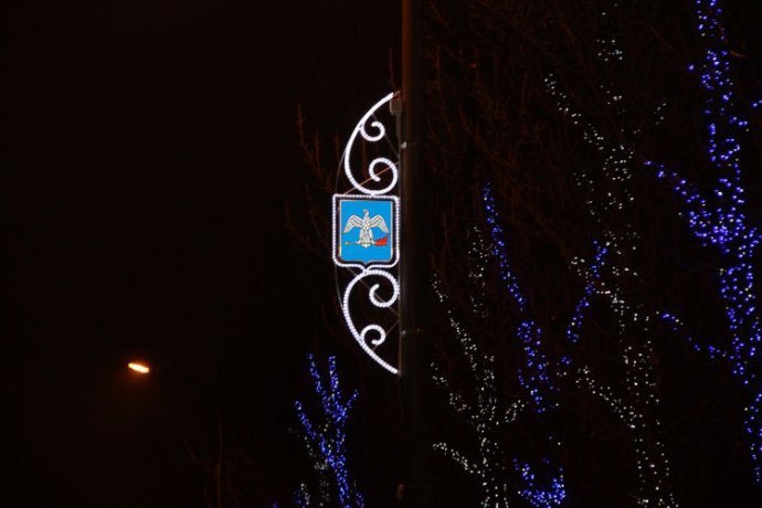 Детальное фото светодиодной консоли 'Герб города' для уличного освещения. Видны стальной каркас с порошковым покрытием, светодиодный дюралайт с цветным гербом и элементы крепления.