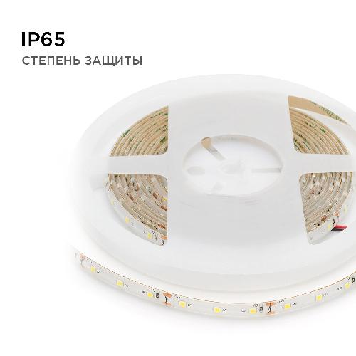 Светодиодная лента 12В, СТ, 4,8Вт/м, smd3528, 60д/м, IP65, 280Лм/м, ширина подложки 8мм, 5м,