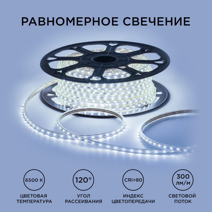 Детальное фото светодиодной ленты холодного белого свечения 6500К, 50 метров, IP65, SMD2835, 60д/м, подключение к 220В