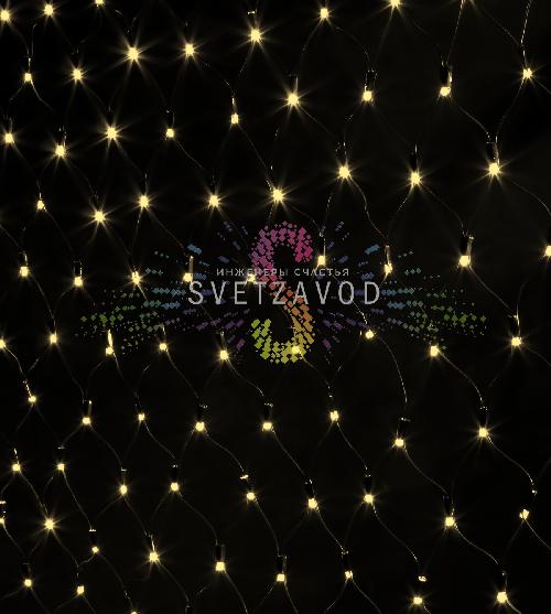 Световая сеть, 2х2м, 220В, теплая белая, черный ПВХ, IP54, с контроллером, Rich Led