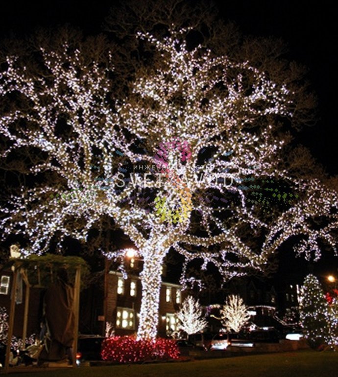 Детальное фото гирлянды Клип Лайт Спайдер Rich Led: три черные нити по 20 метров со светодиодами, контроллер, блок питания 220/24В, упаковка.