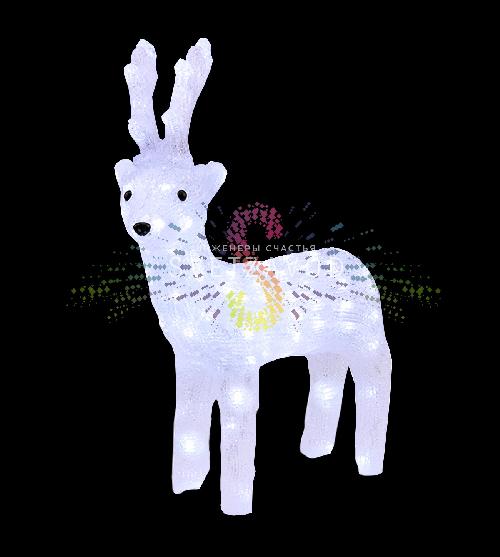 Акриловая фигура 3D Северный олень, 45 см, 100 LED, 24В, с трансформатором, Neon-Night