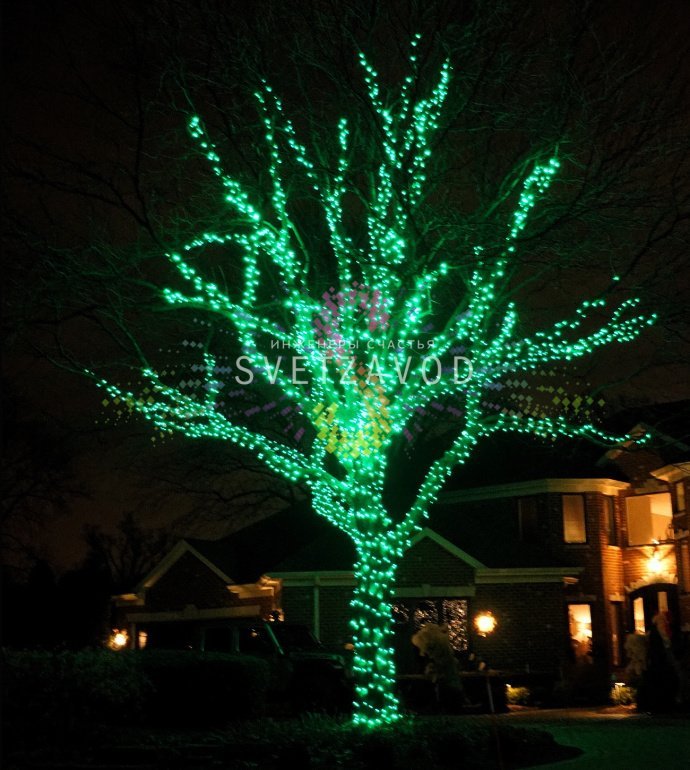 Детальное фото комплекта Клип Лайт Спайдер Rich Led: три нити черного провода с зелеными светодиодами, блок питания 220/24В, разветвитель.