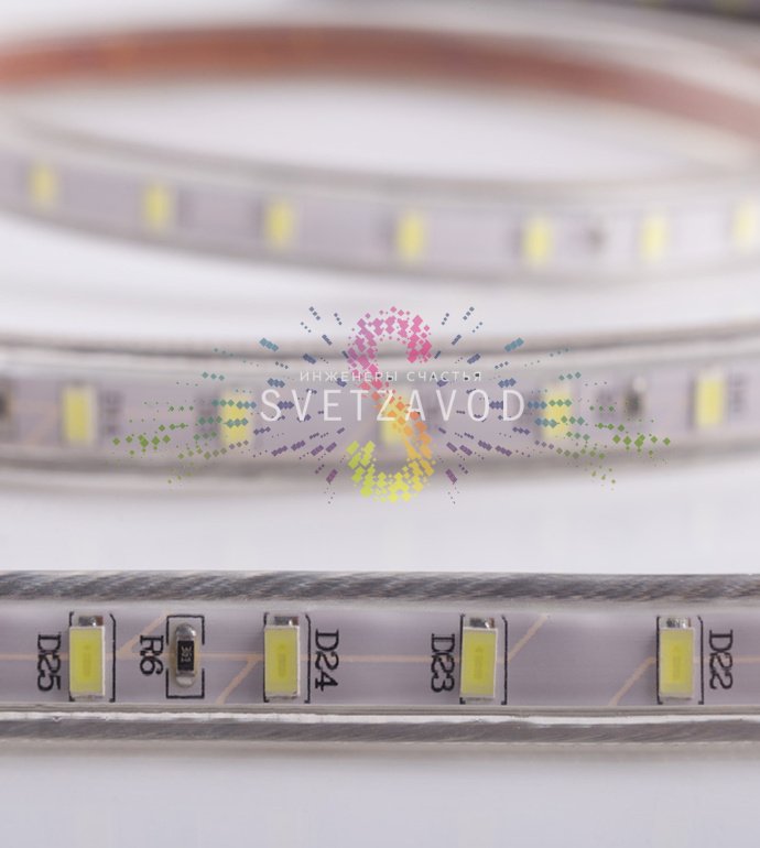 Крупный план светодиодной ленты Тейп Лайт 60SMD5730 в прозрачной влагозащищенной оболочке, демонстрирующий плотное расположение диодов и сечение 13х6.5 мм.