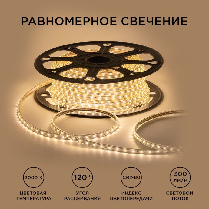 Детальное фото светодиодной ленты 220В 5Вт/м IP65: прозрачная ПВХ-оболочка, SMD 2835, теплый белый свет 3000К, 50 метров в бухте, разъем подключения