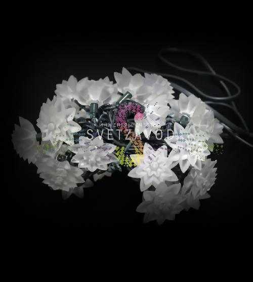 Светодиодная гирлянда Хризантемы, 3м, 30led, 220В, зеленый ПВХ, белая