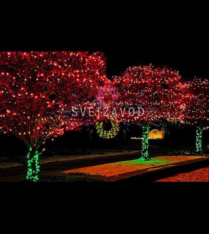 Детальное фото комплекта Клип Лайт Спайдер: 5 прозрачных нитей по 20 метров с красными светодиодами, блок питания 220/24В, упаковка. Видны диоды на расстоянии 10 см.