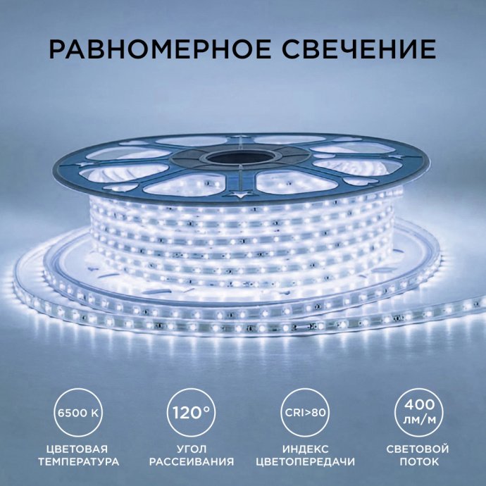 Светодиодная лента 220В IP65 холодный белый 6500К, размер 10х7 мм, 60 диодов SMD2835 на метр, в прозрачной оболочке с проводом