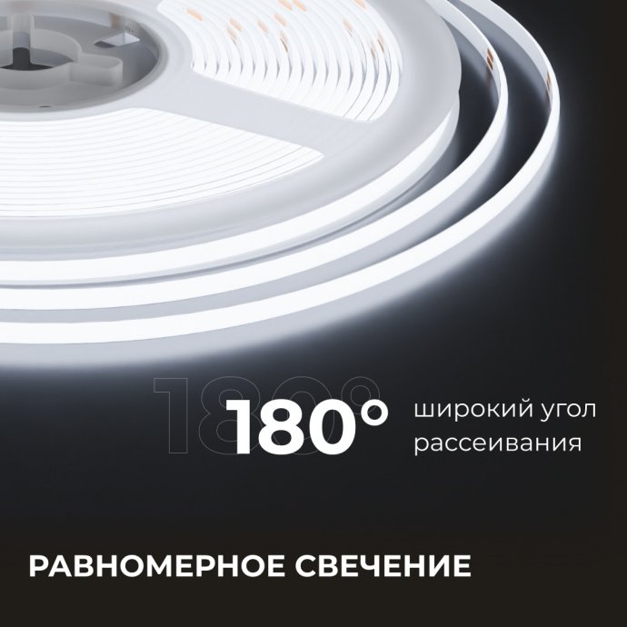 Детальное фото светодиодной COB ленты 24В 7Вт/м 384LED/м 5м холодный белый 6500K, ширина 3мм, CRI90+, 700Лм