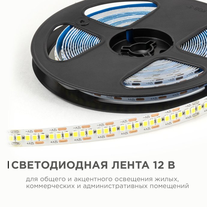 Детальное изображение светодиодной ленты Apeyron Electrics 12В, холодный белый 6500К, 240д/м, IP20, белая подложка, SMD2835.