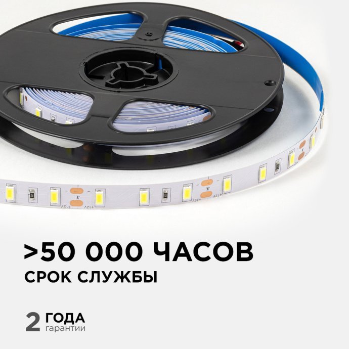 Крупный план светодиодной ленты: холодное белое свечение 6500K, чипы SMD 5630, 60 диодов/м, белая двухслойная плата, ширина 10 мм, контактные площадки для пайки.