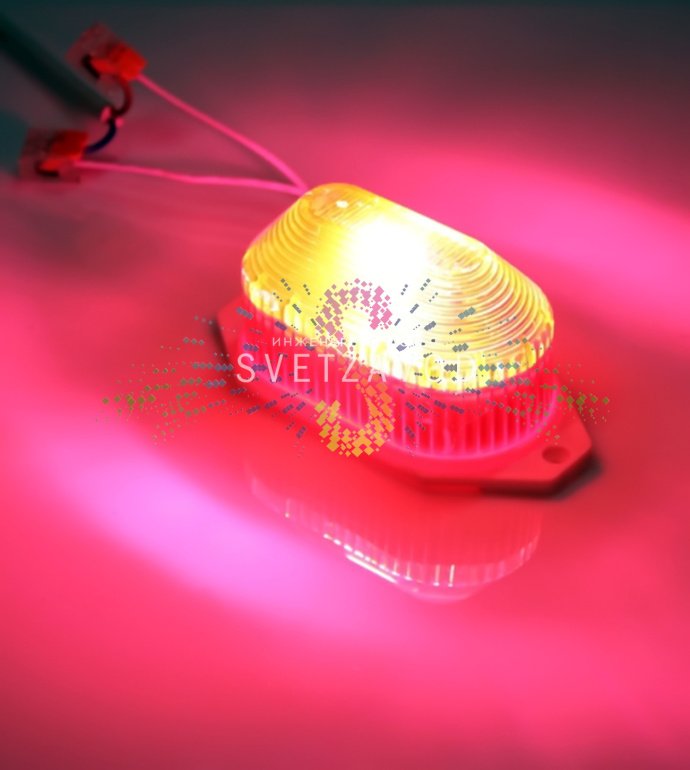 Детальное изображение красной ксеноновой строб-лампы SST-100 с накладным креплением, корпусом IP65 и размерами 11.6х6х5.6 см.