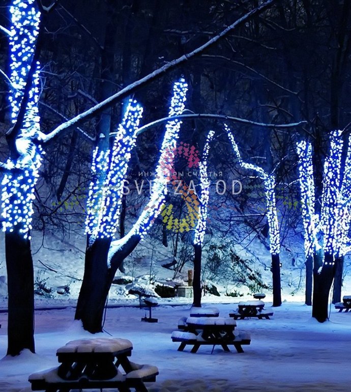 Детальное фото гирлянды Клип Лайт Спайдер Rich Led: три черные нити по 20 метров со светодиодами, контроллер, блок питания 220/24В, упаковка.