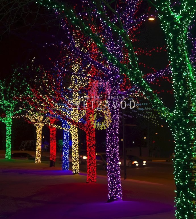 Детальное фото комплекта Клип Лайт Спайдер Rich Led: 3 нити черного провода с красными светодиодами, блок питания 220/24В, упаковка.