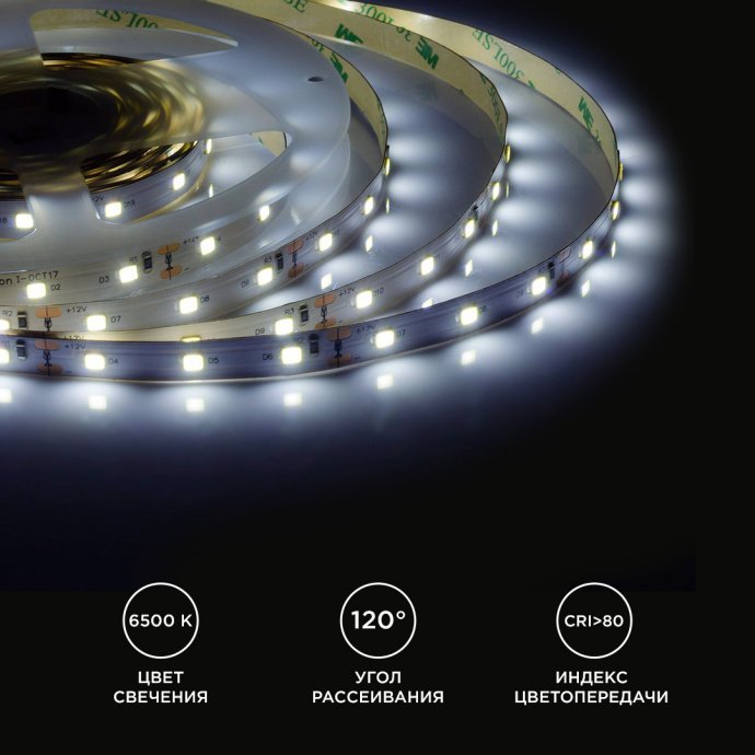 Гибкая LED лента холодный белый свет 6500K, SMD2835 60д/м, IP20, 800Лм/м, 5м, для интерьерной подсветки
