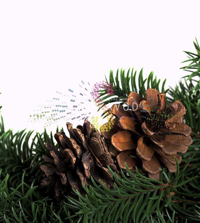 Детальное фото рождественского елового венка Neon-Night: густые литые ветки искусственной хвои, 10 декоративных шишек, диаметр 45 см.