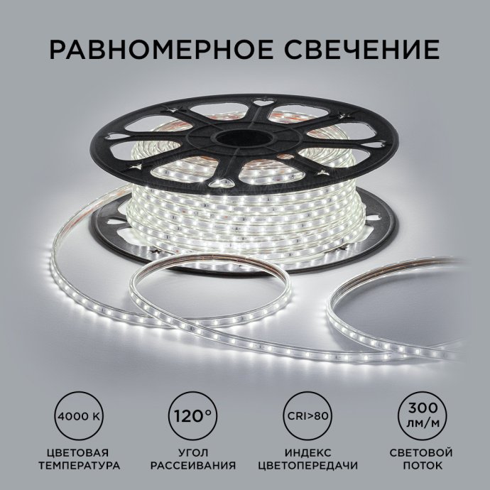 Светодиодная лента 220В дневной белый 4000К, SMD2835, 60д/м, IP65, 300лм/м, 50м, ПВХ оболочка, для улицы