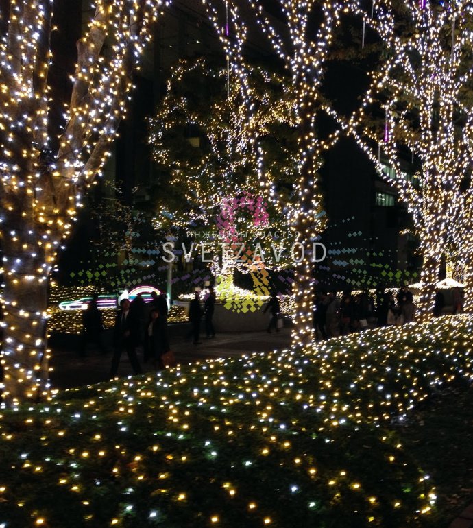 Детальное фото комплекта уличной светодиодной гирлянды Клип Лайт Спайдер: 5 нитей черного провода по 20м, диоды теплого белого света, разветвитель и блок питания 220/24В.