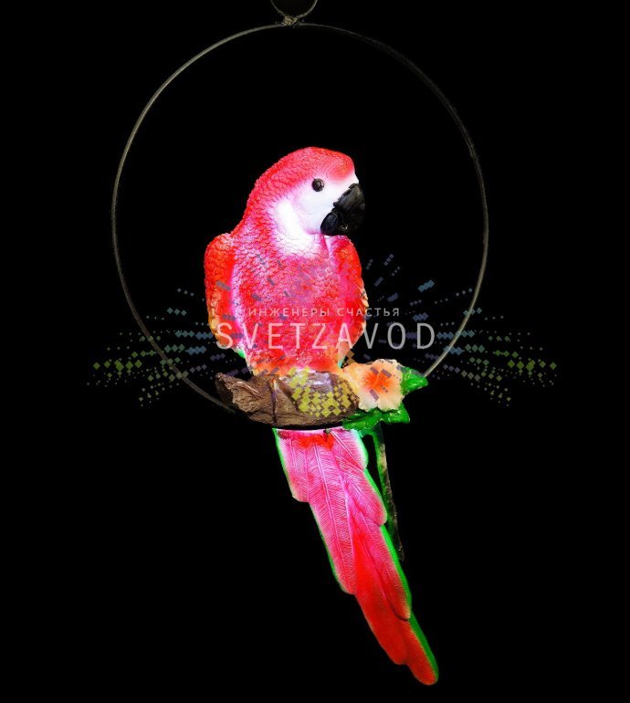 Детальное фото набора светодиодных фигур Попугаев из белого стекловолокна с яркой разноцветной светодиодной подсветкой в вечернем саду.