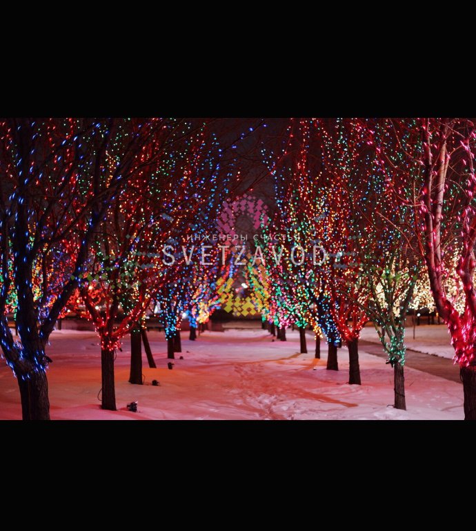 Детальное фото гирлянды Клип Лайт Спайдер: три черные нити по 20 метров со светодиодами, контроллер и блок питания 220/24В на белом фоне.