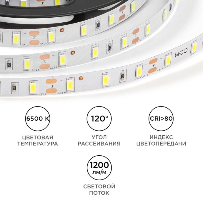 Крупный план светодиодной ленты: холодное белое свечение 6500K, чипы SMD 5630, 60 диодов/м, белая двухслойная плата, ширина 10 мм, контактные площадки для пайки.