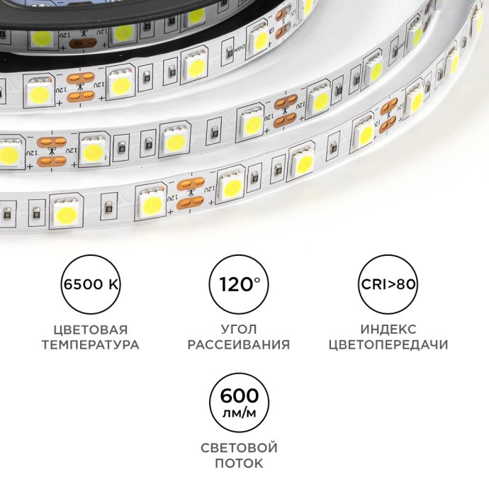 Детальное фото: светодиодная лента 12В SMD 5050 6500К холодный белый, 60 диодов/м, двухслойная плата, IP20, 5м катушка.