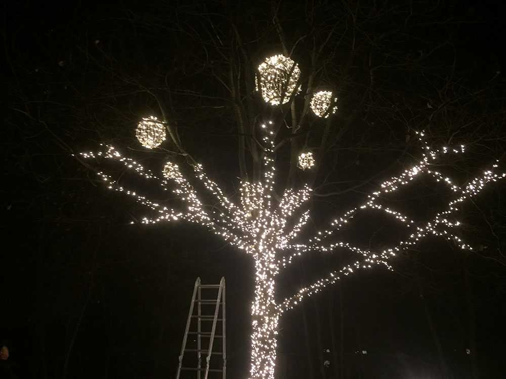 -led-clip-light-figures-tree-light-1.jpg