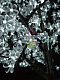 Светодиодный куст Сакуры, 0,8 м, Ø0,8 м, 224 LED, белый