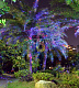 Лазерная подсветка, Garden X-33P, анимация Светлячок